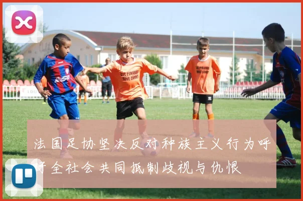 法国足协坚决反对种族主义行为呼吁全社会共同抵制歧视与仇恨