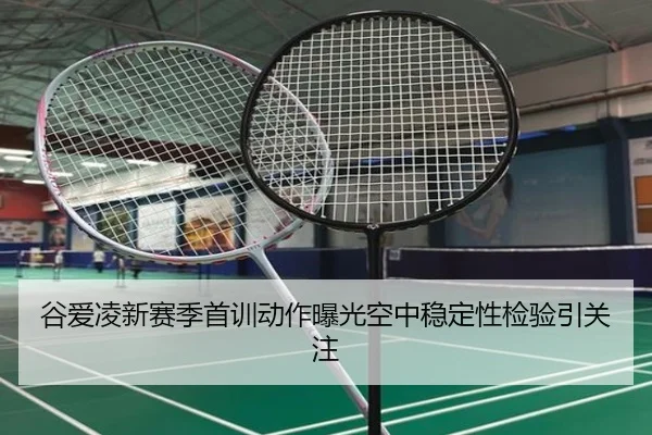 谷爱凌新赛季首训动作曝光空中稳定性检验引关注